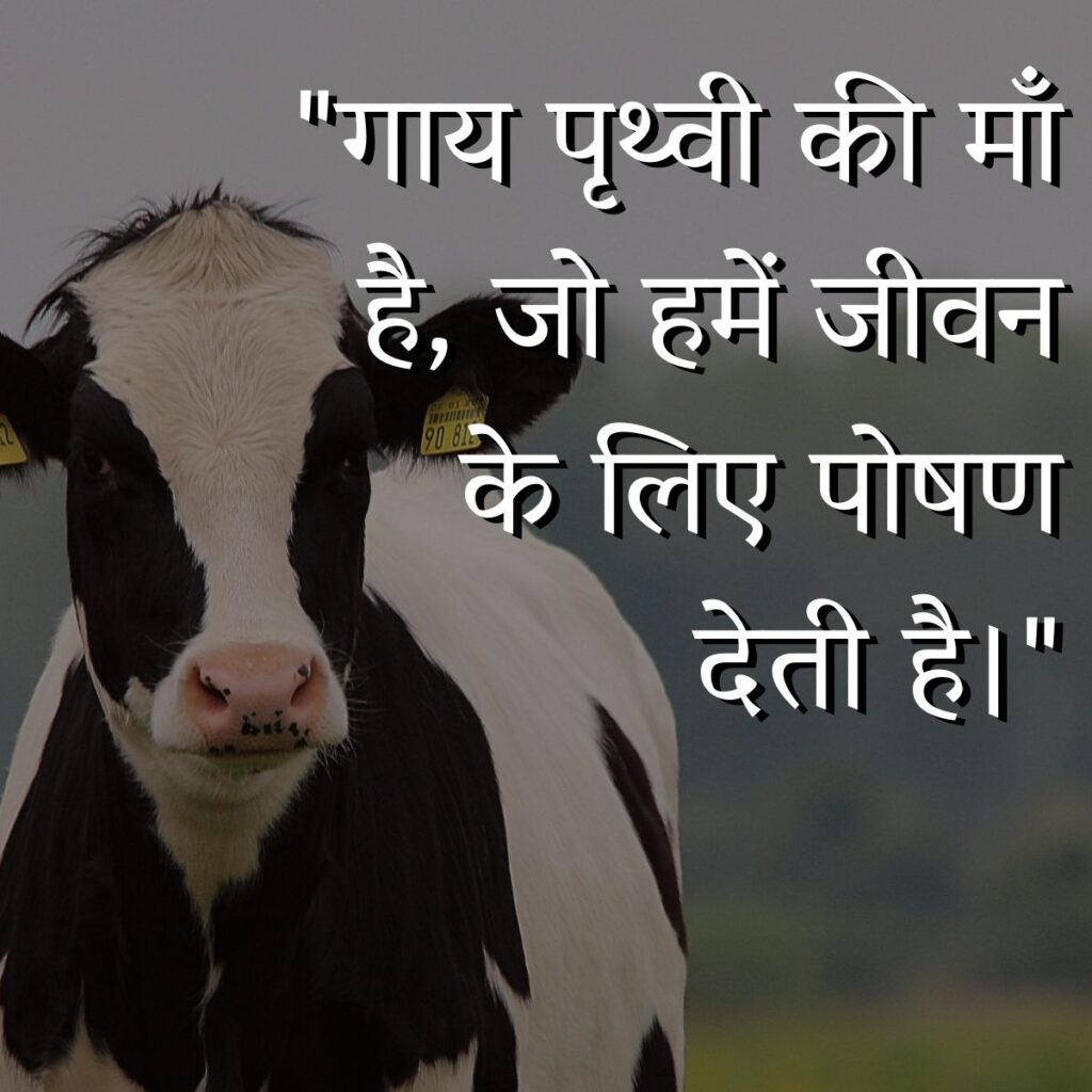 Cow Quotes In Hindi